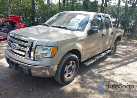 2010 Ford F-150 Xlt из США, поврежденный, VIN 1FTEW1C85AKB05330